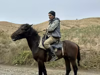 حصان, Azerbaijan horse — الصورة 2