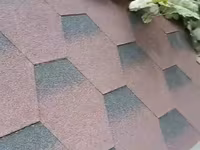 Ağ taxta konstruksiyalı it evi - Material: taxta karkas, ağ rəngdə — Foto 4
