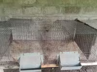 Ճագարի վանդակ մետաղից — Foto 1