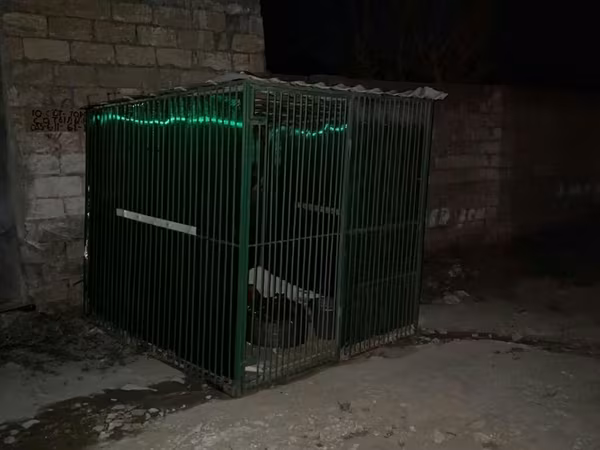 Metalkarkas heyvan qəfəsi / açıq hava volyeri - Material: tam metal