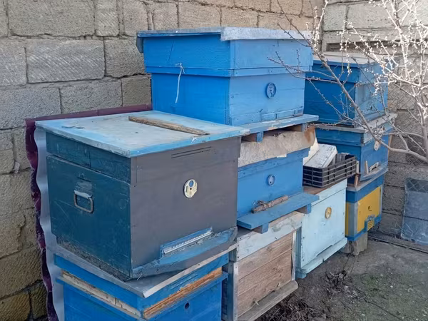 Arıçılıq üçün taxta pətəklər və üst korpuslar - Material: qalın
