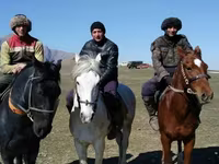 Caballo, Caballos — foto 3