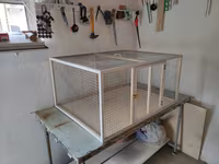 Papuqay,dovşan,hamster,şinşila,bildirçin,cücə,xamyak,pişik,quş,tısbağa — foto 3