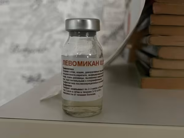 Levomikan 0,5% – baytarlıq antibakterial məhlul Məhsul: - Levomikan