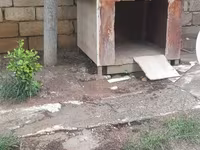 Açıq havada istifadə üçün taxta it evi - Material: qalın taxta — الصورة 2
