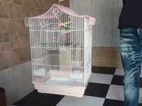 Böyük ölçülü quş qəfəsi 60 azn - Material: Ağ rəngli möhkəm metal — 照片 1