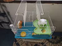 Hamster üçün tam dəst qəfəs uzunluqu 55 sm hündürlük 45 sm eni 30 sm — 照片 2