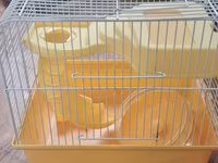 Cırtdan hamsterlər və tam avadanlıqlı qəfəs dəsti 2 qəfəs böyük və — 照片 3