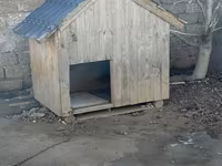 Taxta it evi - Material: qalın taxta karkas, üzəri taxta lövhələr - — photo 2