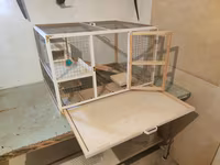Papuqay,dovşan,hamster,şinşila,bildirçin,cücə,xamyak,pişik,quş,tısbağa — Foto 4