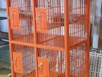 Metaldan 9 bölməli şkaf tipli qəfəs - Təyinat: pet-shop, baytarlıq — Foto 1