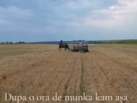 Klisna, Koně — foto 5