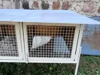 Նապաստակի բուն տնակ — الصورة 4