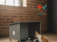 Məhsul: Pişik temalı qidalandırıcı stendlər - Dizayn: Taxta əsaslı — 照片 3