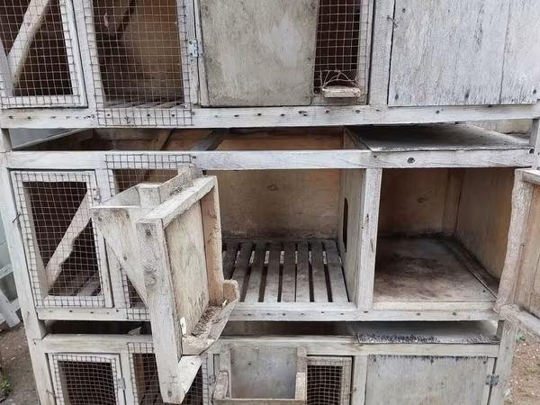 Çoxbölməli taxta qəfəs sistemi - Material: möhkəm taxta karkas, ön