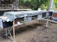 Նապաստակի բներ վանդակ — zdjęcie 3