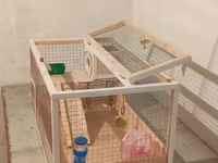 Hamster/kiçik gəmirici üçün geniş taxta — фото 3