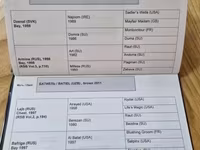 Égua, Thoroughbred horse — foto 7