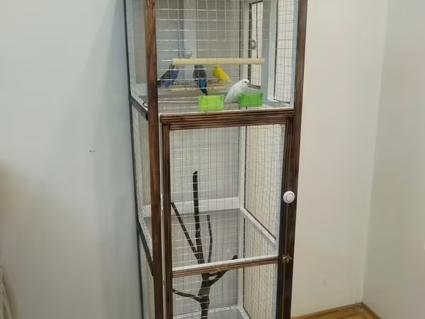 Ev quşları üçün hündür qəfəs