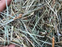 Խոդի տուկ խոդ խամի խոդ — фото 2