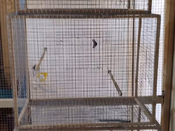 Qefesler tutuqusu,bulbul,amadin saxlamqcun,ucdene qefesi var ucunde