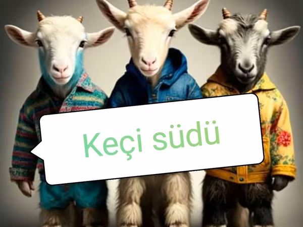 Keçi südü –öncədən sifariş etməyiniz xahiş olunur. Ünvan