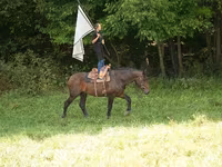 At, Racking Horse — foto 3