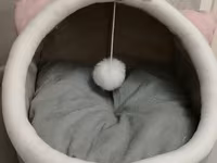 Pişik və kiçik itlər üçün qapalı yumşaq yataq - Dizayn: tunel/quyu — 照片 4