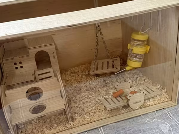 Taxta hamster evi və aksesuar dəsti / 2 balaca hamster (2 ayliq,hər