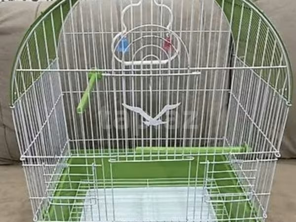 Quş qəfəsi – orta ölçülü, yaşıl altlıq və ağ metal barmaqlıqlardan