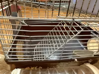 Hamster üçün tam dəst 2 mərtəbə qəfəs - Metall karkaslı, çıxarılan — الصورة 3