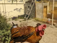 Brahma — foto 2