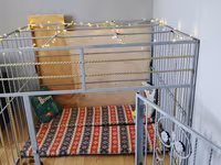 Metaldan geniş ev tipi it qəfəsi / playpen - Material: qalın metal — الصورة 1