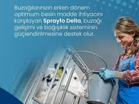 Sprayfo Delta buzov süd əvəzedicisi buzovların sağlam inkişafı və — foto 4