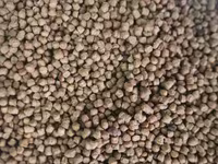 İtlər və Pşiklər üçün Tam təbii yemlər kimyəvi qatqısız Tərkibində GMO — फ़ोटो 3