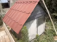 İt evi – taxta konstruksiya, iki girişli - Material: qalın taxta — Foto 3