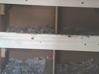 Super möhkemdir 14 16 qusluqdur qiymet 30 a yendi unvan xirdalan bir — 照片 3
