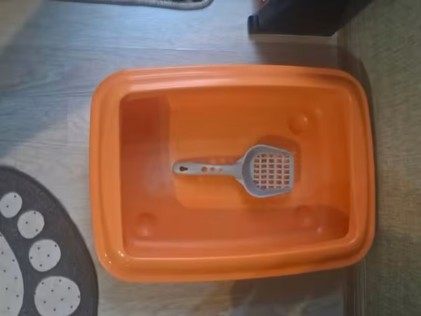 Heyvanucun qum qabı