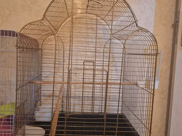 Qızılı rəngli böyük quş qəfəsi - Material: metal tor (qızılı rəng)