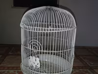 Ağ rəngli dairəvi quş qəfəsi - Material: metal telli korpus, plastik — फ़ोटो 1