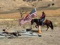 At, Quarter Horse — foto 6