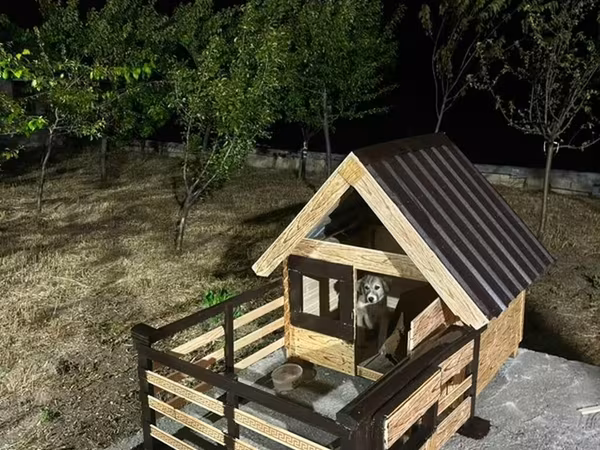 Açıq hava üçün taxta it evi – eyvanlı model - Material: möhkəm taxta