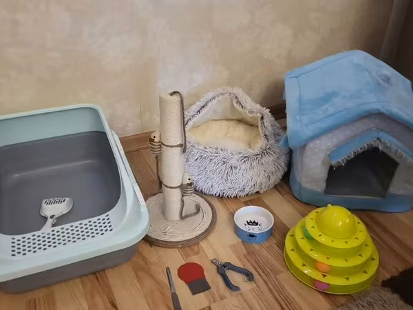 Pişik üçün tam aksesuar dəsti Tərkibi: - Qum tualeti – çıxarıla bilən