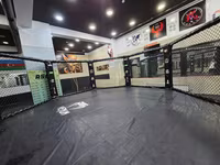 MMA məşq və yarışları üçün peşəkar oktagon qəfəs - Forma — photo 2