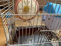 Hamster üçün tam dəst 2 mərtəbə qəfəs - Metall karkaslı, çıxarılan — الصورة 4