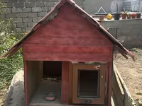İt evi – taxta konstruksiya, iki girişli - Material: qalın taxta — Foto 1