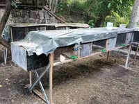 Նապաստակի բներ վանդակ — zdjęcie 2