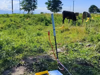 Portativ Elektrik Çəpər Cihazı (enerqizer) - 12 V akkumulyatorla — photo 5