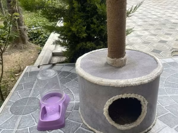 Pişik üçün çoxfunksiyalı isdirahet ve oyun kompilekdi.Yemek qabı