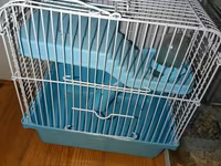 Ağ rəngli xırda hamster və komplekt ləvazimatları Paket tərkibi: - — Foto 2